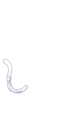 クイズの答え 一覧表 最終更新 17 04 22 ぼやき